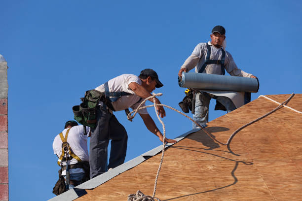 Best Roof Gutter Cleaning  in Chillicothe, MO