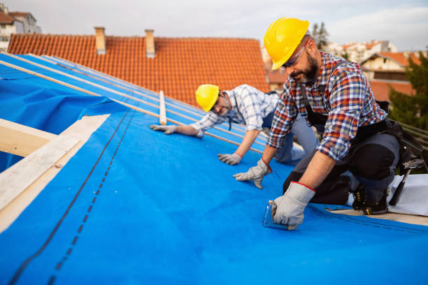 Best Commercial Roofing Services  in Chillicothe, MO